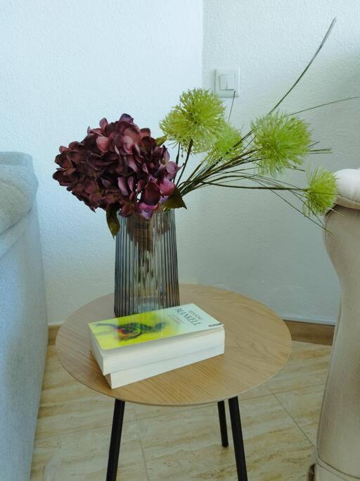 Rent4 Malaga Tamarindo Apartamento