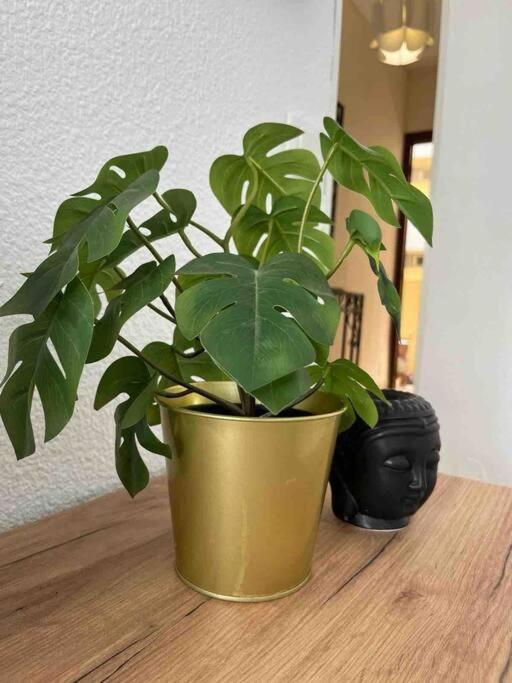 Rent4 Malaga Tamarindo Apartamento *